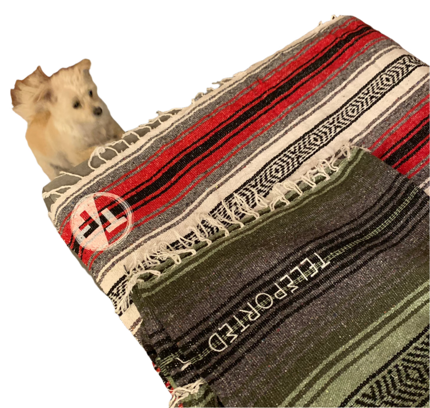 True/False film industry VIP blanket COVID edition (hand switched 2020)