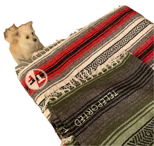 True/False film industry VIP blanket COVID edition (hand switched 2020)