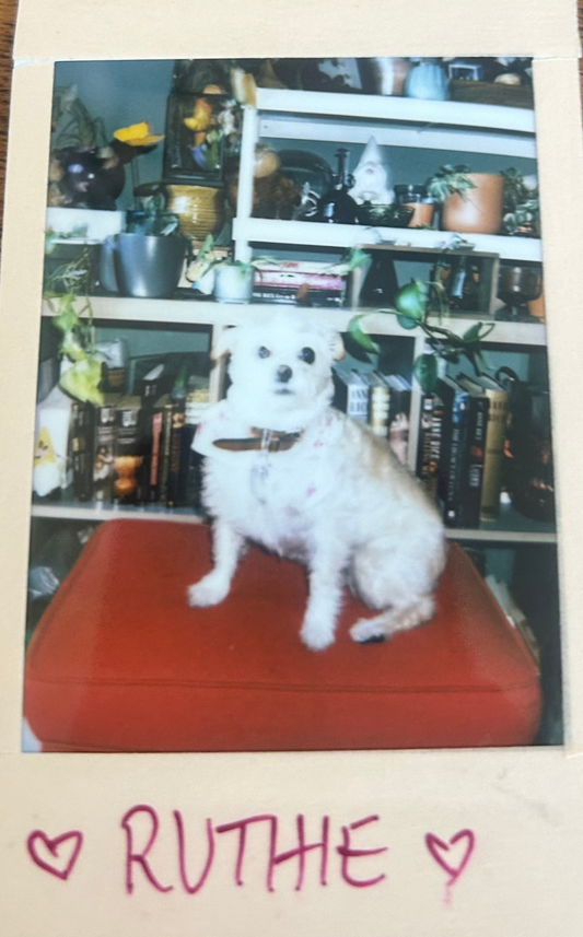 RUTHIE polaroid first street casting
